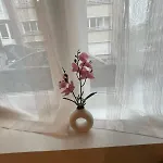 Ereva Seaside Cosy 1 Bedroom With Garden Apartment